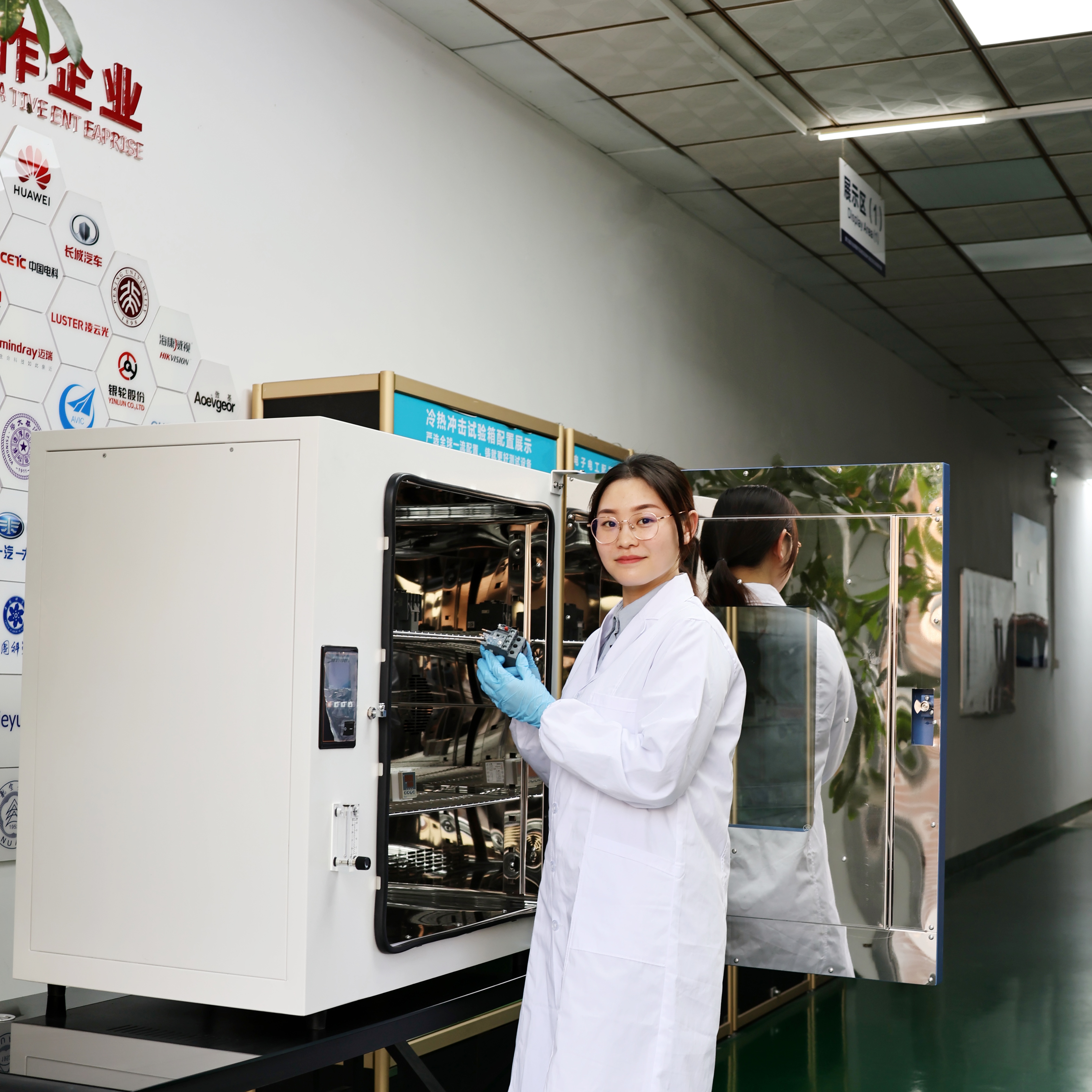 充氮气鼓风干燥箱